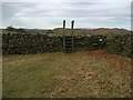 Ladder Stile above Craggy Plantation in LA8 9QZ