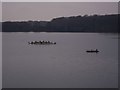 Cormorant Islands in Bough Beech Reservoir in TN8 7PW