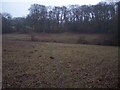 Footpath to Thickets Wood in TN14 6PX
