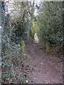 Bridleway off Bacon Lane in GU10 2HJ