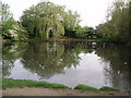 Duckpond at Rushmere Street in Rushmere St Andrew