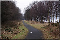 Footpath by the Clyde in G81 1NH