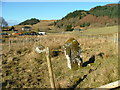 Standing stone at Glenmachrie in PA34 4QE