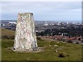Trig point, Tunstall Hills in SR2 9JG