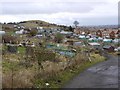 Allotments, Tunstall Hills in SR2 9JG