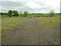 Waste site by the Kilmarnock bypass in KA3 7JZ