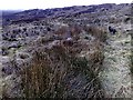 Open Moorland above Rhonadale in PA28 6QJ
