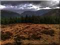 Open Moorland and Treeline above Rhonadale in PA28 6QJ