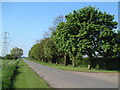 Owston Road in West Stockwith