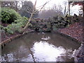 Sefton Park - a small pool in L17 7AS