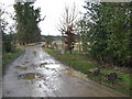 The lane to West Harling in Harling