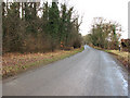 Unnamed lane to Middle Harling in Harling