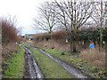 Track approaching Manor Farm in NR16 2QY