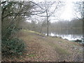 Path around Kingsley Pond in GU35 9NG
