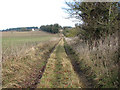 Path from Gasthorpe to the A1066 road in IP22 2SX