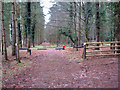 Path past the Thorpe Woodlands Adventure Centre in IP24 2RX