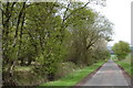 Wooded road by Egnomoss in DD8 5NA