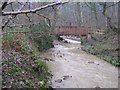 Footbridge over Saltburn Gill in TS12 1HB