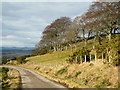 Hillside above Nigg in IV19 1QR
