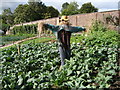 Scarecrow in the vegetable garden, Pollok Country Park in G43 1BG