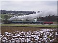 Train on the Kent and East Sussex Railway in TN17 4JR
