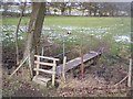 Footbridge near Chennell Park in TN30 6UJ