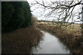 River Eden: upstream in TN8 7LE