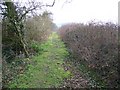 Footpath near South Barrow in BA22 7LH