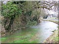 River Lavant, Mid Lavant in PO18 0DE