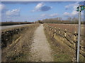Bridleway by the side of the road in MK18 2FL