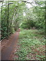 Cycle path and footway, north of Woking by A320 in KT16 0QR
