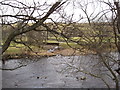 River Tees and Footbridge over Unnamed Beck in DL12 0TX