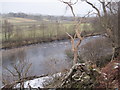 River Tees from the Pennine Way in DL12 0UX