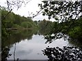 Lake in Tenley Plantation in BD23 4JN