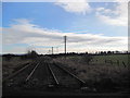 Disused Railway Line near Follingsby in NE10 8YF
