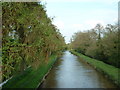 Llangollen Canal at Marbury in Marbury and District