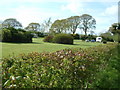 Caravan Site, Monckton Wyld in EX13 5TB