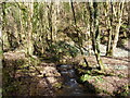 The river Avil, Snowdrop Valley, North Hawkswell Wood in TA24 7AH
