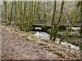 Drapers Way crosses the River Avil in Snowdrop Valley, North Hawkswell Wood in TA24 7AH
