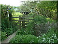 Kissing Gate and Public Footpath in EX24 6DY