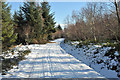 Forest road near Cnoc Navie in IV17 0XP