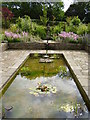 Pond, Harlow Carr Gardens in HG3 1FF