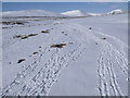 Animal tracks in the course of Allt Geallaidh near Sronphadruig Lodge in PH18 5UQ