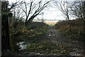 Footpath junction, Home Wood in TN13 2TB