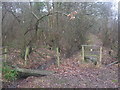 Footpath junction near Roughstocks Wood in TN25 7JN