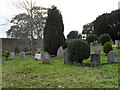 Churchyard at St Mary, Slindon (1) in BN18 0UY