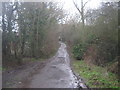 Byway to Bourne Wood in TN26 2PF