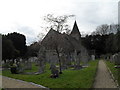Late winter in the churchyard at St Mary, Slindon in BN18 0UY