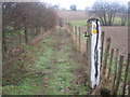 Saxon Shore Way near Gill Farm House in TN26 2PF
