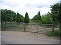 Tree nursery, Southill, Beds in SG18 9LH